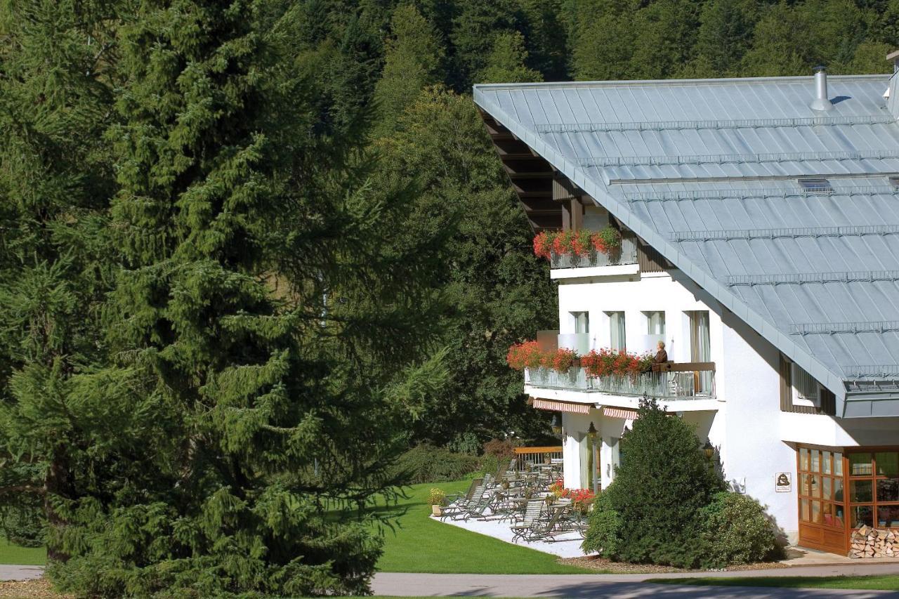 Hotel Les Buttes Ventron Exteriér fotografie